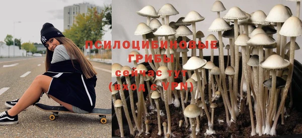 спайс Богородицк