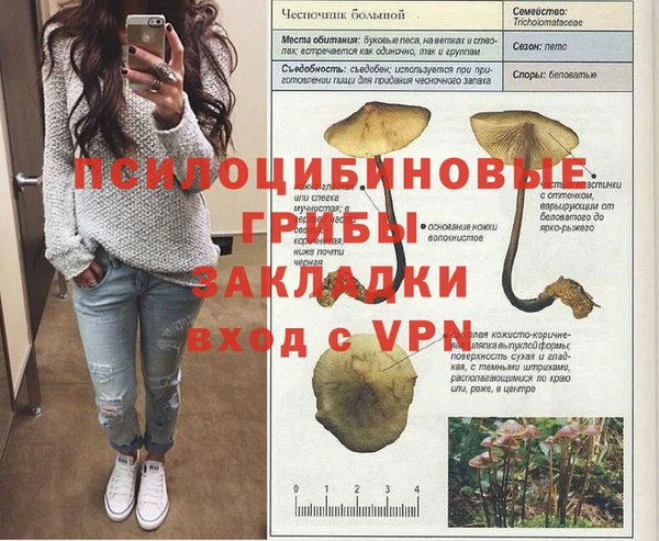 дурь Богородск